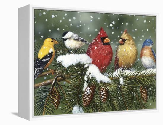 Backyard Birds on Snowy Branch-William Vanderdasson-Framed Premier Image Canvas