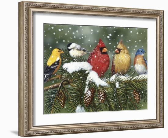 Backyard Birds on Snowy Branch-William Vanderdasson-Framed Premium Giclee Print