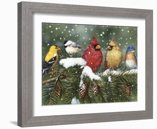 Backyard Birds on Snowy Branch-William Vanderdasson-Framed Giclee Print