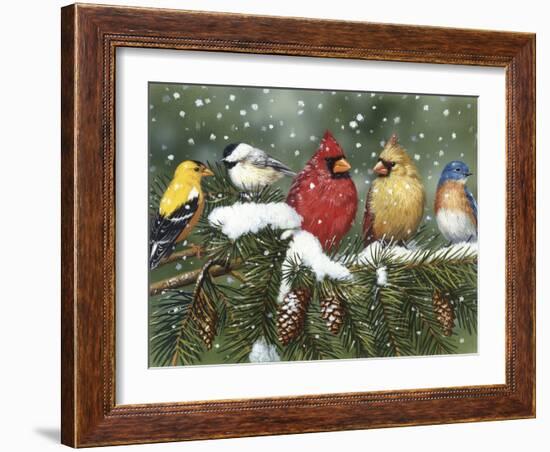 Backyard Birds on Snowy Branch-William Vanderdasson-Framed Giclee Print