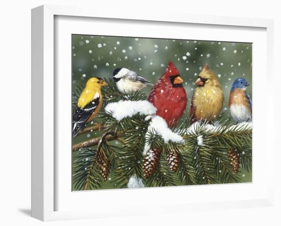 Backyard Birds on Snowy Branch-William Vanderdasson-Framed Giclee Print