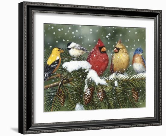 Backyard Birds on Snowy Branch-William Vanderdasson-Framed Giclee Print