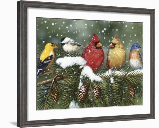 Backyard Birds on Snowy Branch-William Vanderdasson-Framed Giclee Print