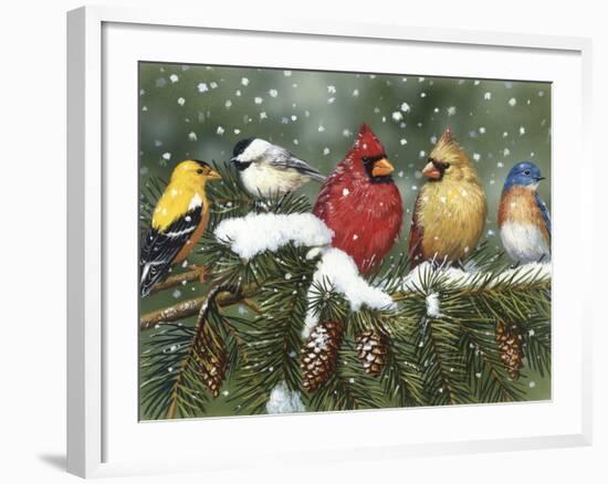 Backyard Birds on Snowy Branch-William Vanderdasson-Framed Giclee Print