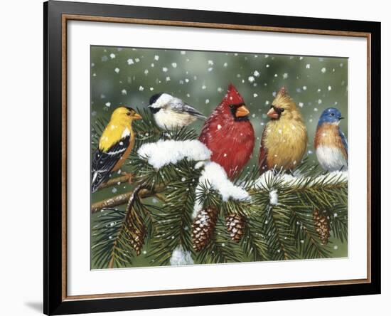 Backyard Birds on Snowy Branch-William Vanderdasson-Framed Giclee Print