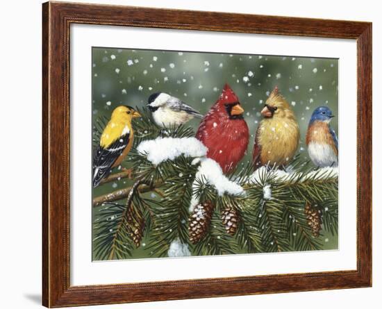 Backyard Birds on Snowy Branch-William Vanderdasson-Framed Giclee Print