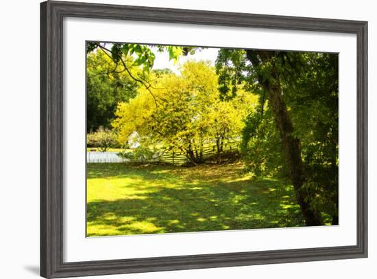 Backyard Color I-Alan Hausenflock-Framed Photographic Print