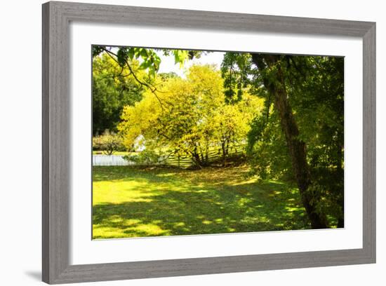 Backyard Color I-Alan Hausenflock-Framed Photographic Print