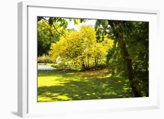 Backyard Color I-Alan Hausenflock-Framed Photographic Print