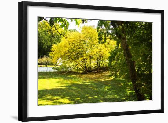 Backyard Color I-Alan Hausenflock-Framed Photographic Print