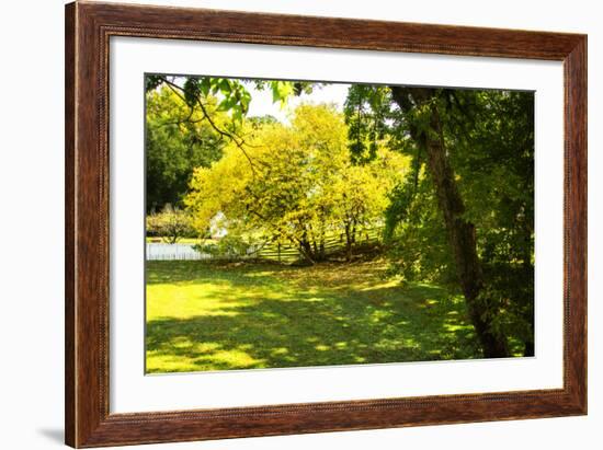 Backyard Color I-Alan Hausenflock-Framed Photographic Print