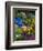 Backyard Flower Garden With Chair-Darrell Gulin-Framed Premium Photographic Print