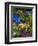 Backyard Flower Garden With Chair-Darrell Gulin-Framed Premium Photographic Print