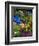 Backyard Flower Garden With Chair-Darrell Gulin-Framed Premium Photographic Print