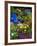 Backyard Flower Garden With Chair-Darrell Gulin-Framed Photographic Print