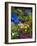 Backyard Flower Garden With Chair-Darrell Gulin-Framed Photographic Print