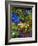 Backyard Flower Garden With Chair-Darrell Gulin-Framed Photographic Print