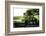 Backyard Groove-Philippe Sainte-Laudy-Framed Photographic Print