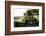 Backyard Groove-Philippe Sainte-Laudy-Framed Photographic Print