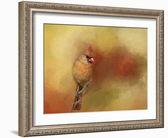 Backyard Jewel-Jai Johnson-Framed Giclee Print