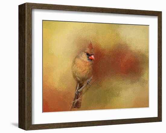 Backyard Jewel-Jai Johnson-Framed Giclee Print