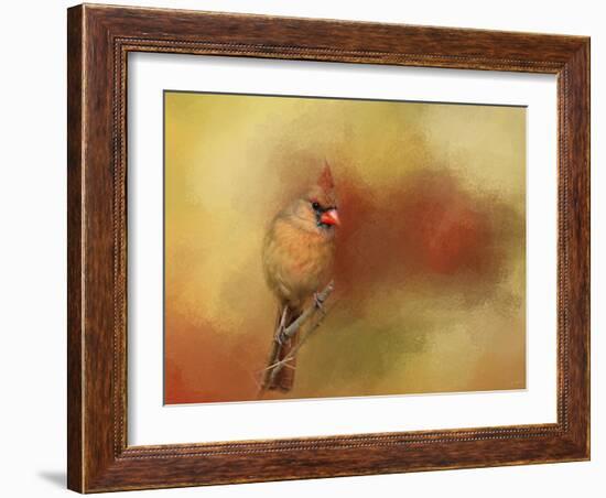 Backyard Jewel-Jai Johnson-Framed Giclee Print