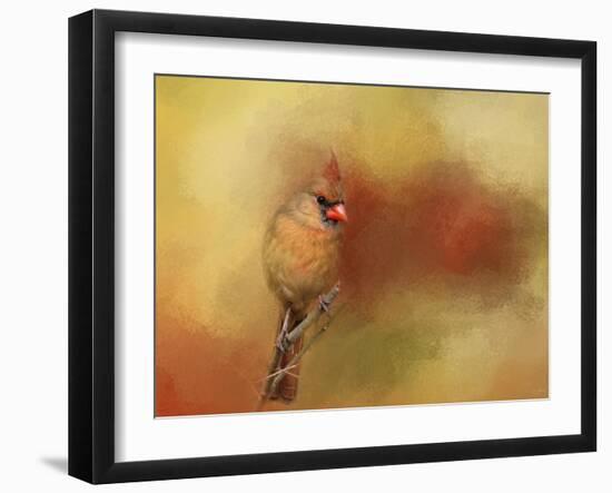 Backyard Jewel-Jai Johnson-Framed Giclee Print