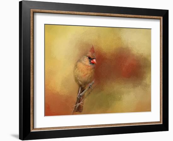 Backyard Jewel-Jai Johnson-Framed Giclee Print