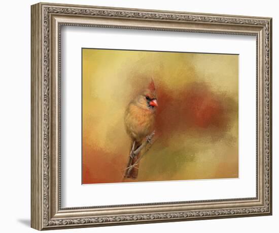 Backyard Jewel-Jai Johnson-Framed Giclee Print