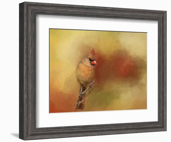 Backyard Jewel-Jai Johnson-Framed Giclee Print