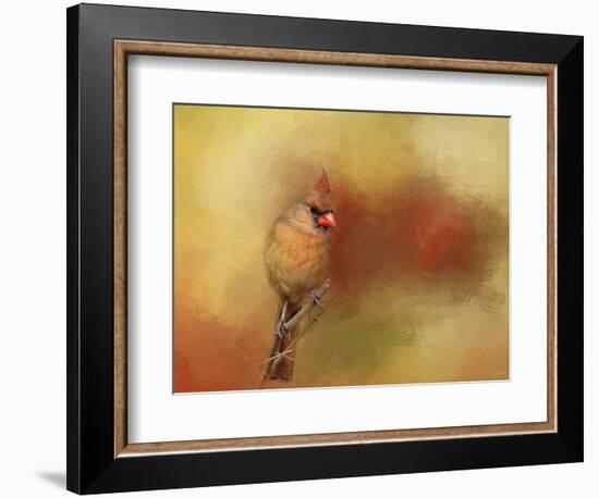 Backyard Jewel-Jai Johnson-Framed Giclee Print