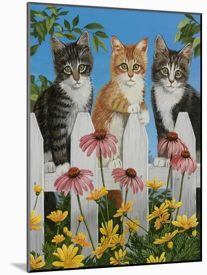 Backyard Kittens-William Vanderdasson-Mounted Giclee Print