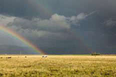 Sun Shining on Grassland under Storym and Rain-BackyardProductions-Framed Photographic Print