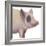 Bacon, Bits and Ham II-Myles Sullivan-Framed Art Print