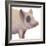 Bacon, Bits and Ham II-Myles Sullivan-Framed Art Print