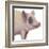 Bacon, Bits and Ham II-Myles Sullivan-Framed Art Print