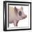 Bacon, Bits and Ham II-Myles Sullivan-Framed Art Print