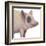 Bacon, Bits and Ham II-Myles Sullivan-Framed Art Print