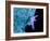 Bacteria Infecting a Macrophage, SEM-Science Photo Library-Framed Photographic Print
