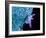 Bacteria Infecting a Macrophage, SEM-Science Photo Library-Framed Photographic Print