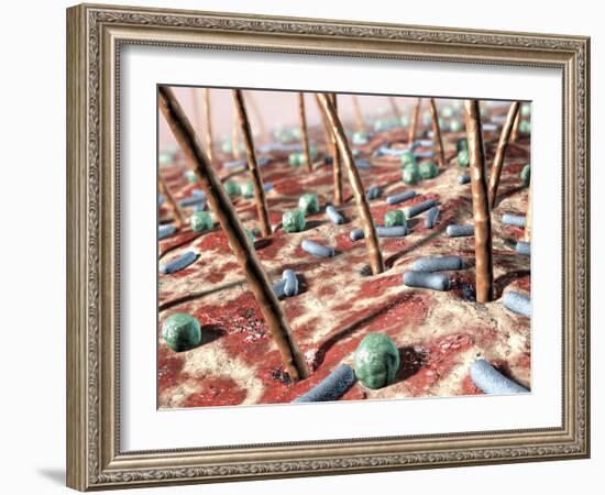 Bacteria on Skin-David Mack-Framed Photographic Print