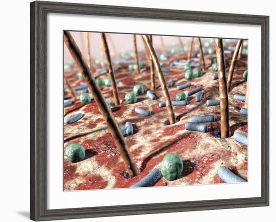 Bacteria on Skin-David Mack-Framed Photographic Print