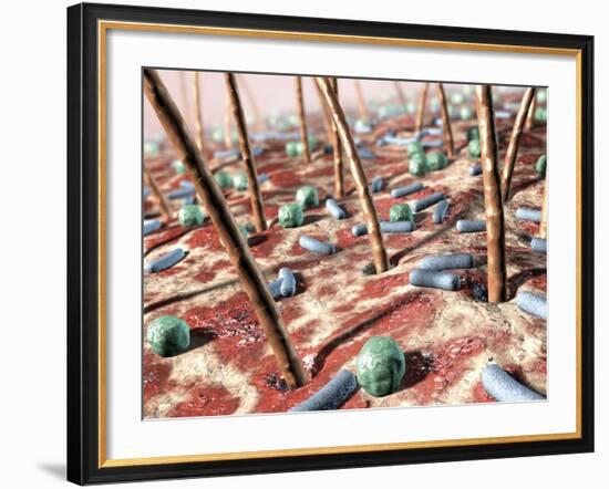 Bacteria on Skin-David Mack-Framed Photographic Print