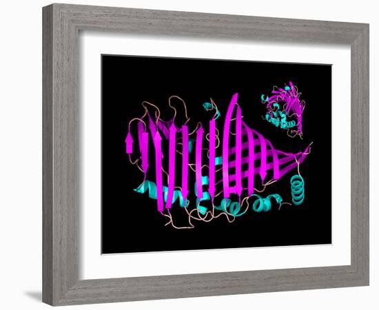 Bacteriochlorophyll-containing Protein-Laguna Design-Framed Photographic Print