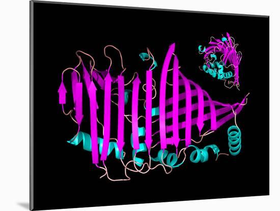 Bacteriochlorophyll-containing Protein-Laguna Design-Mounted Photographic Print