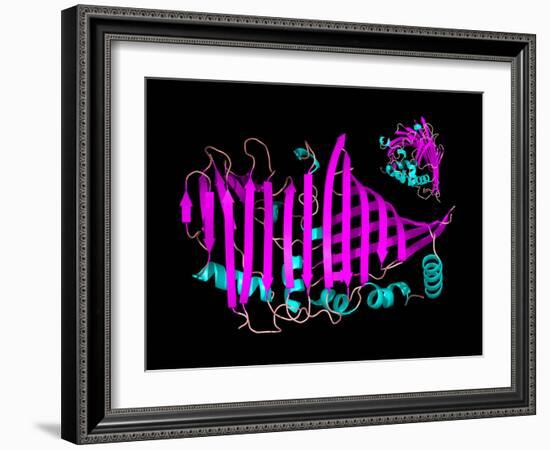 Bacteriochlorophyll-containing Protein-Laguna Design-Framed Photographic Print