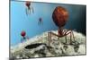 Bacteriophage Viruses-Karsten Schneider-Mounted Photographic Print