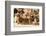 Bactrian Camel Herd. Gobi Desert. Mongolia.-Tom Norring-Framed Photographic Print