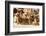 Bactrian Camel Herd. Gobi Desert. Mongolia.-Tom Norring-Framed Photographic Print