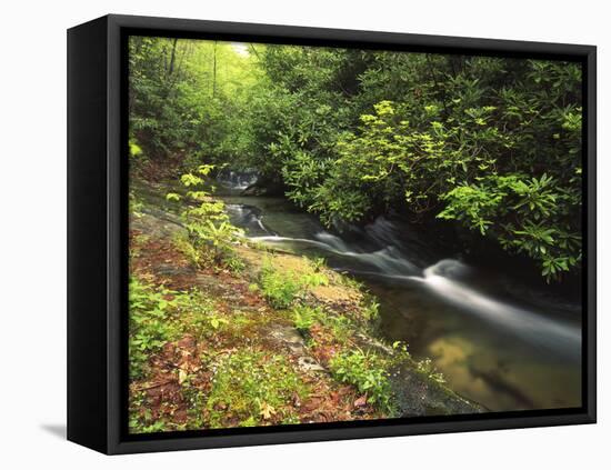 Bad Branch on Pine Mountain, Kentucky, USA-Adam Jones-Framed Premier Image Canvas